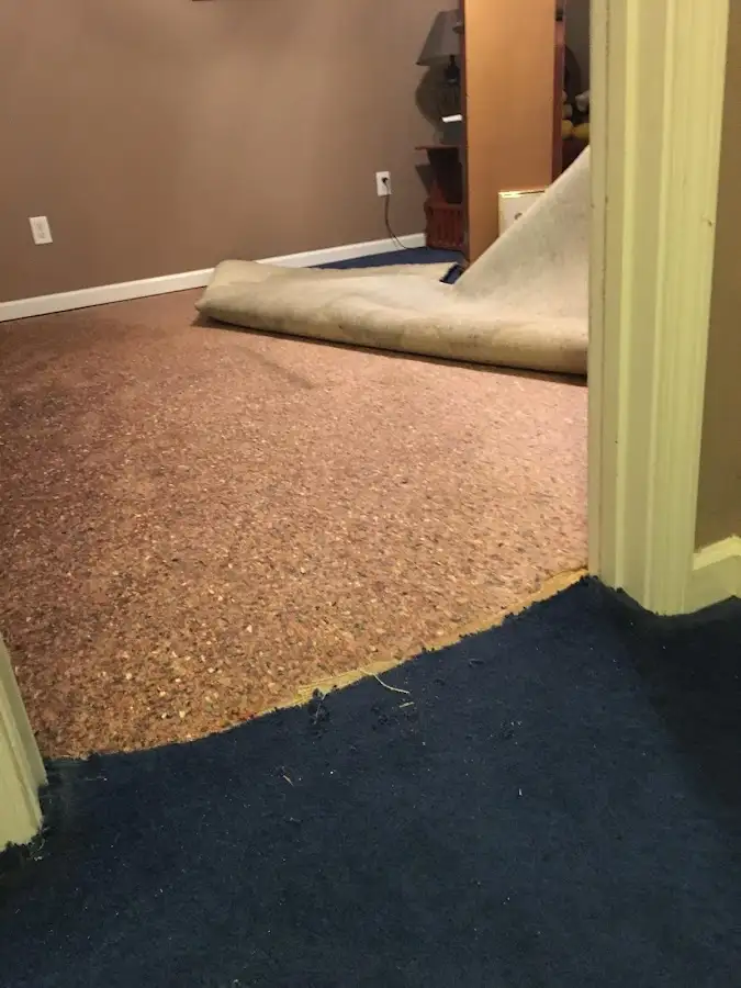 Carpet pad removal revealing water damage during Drying & Dehumidification in Corry
